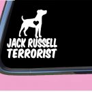 Jack Russell Terrorist TP 538 vinyl 6" Decal Sticker rescue adopt kennel treats Jack Russell Terrorist TP 538 vinyl 6" Decal Sticker rescue adopt kennel treats