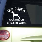 If it's Not a Doberman *I714* 6x6 inch Sticker doberman pinscher decal