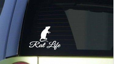 Rat Life *I278* 6"  Sticker decal rats mice snake cage food pet toys