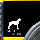 Catahoula What K446 6 inch Sticker Louisiana Catahoula dog decal