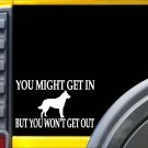 Belgian Malinois You Might Get In L226 Inch sticker Schutzhund dog decal