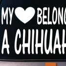 My heart belongs to a Chihuahua sticker decal *D970* My heart belongs to a Chihuahua sticker decal *D970*