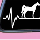 Arabian Horse Lifeline TP 260 vinyl 8" Decal Sticker shoe bridle egyptian tshirt Arabian Horse Lifeline TP 260 vinyl 8" Decal Sticker shoe bridle egyptian tshirt