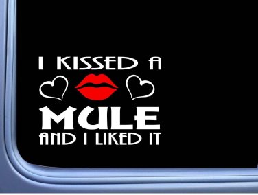 Mule Kissed L957 8" horse draft window decal sticker