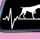German Shorthair Lifeline TP 247 vinyl 8" Decal Sticker shorthaired pointer bird German Shorthair Lifeline TP 247 vinyl 8" Decal Sticker shorthaired pointer bird