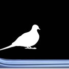 Dove Bird 6" sticker J766 decal sticker Dove Bird 6" sticker J766 decal sticker