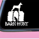 Rat Terrier Barn Hunt TP 529 vinyl 6" Decal Sticker rat tubes book tshirt