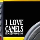 Camels because Humans Suck Sticker J965 6 inch camel decal
