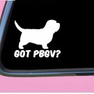 Got PBGV TP 571 vinyl 6" Decal Sticker dog breed Petit Basset Griffon Vendeen