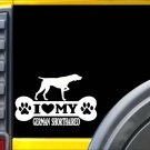 German Shorthair Pointer Bone L091 8 inch shorthaired dog decal