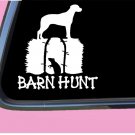 Catahoula Barn Hunt TP 535 vinyl 6" Decal Sticker rat tubes book tshirt