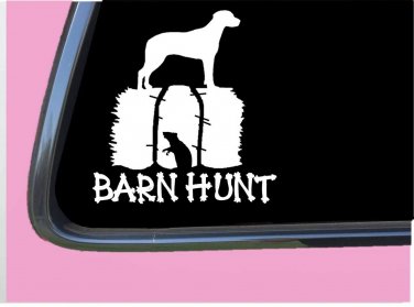 Catahoula Barn Hunt TP 535 vinyl 6" Decal Sticker rat tubes book tshirt