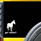 Got Mules K332 6 inch decal long ears donkey sticker Got Mules K332 6 inch decal long ears donkey sticker