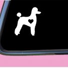 Poodle Pet cut lil heart TP 576 vinyl 6" Decal Sticker dog groomer labradoodle