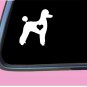 Poodle Pet cut lil heart TP 576 vinyl 6" Decal Sticker dog groomer labradoodle