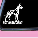 Got Harlequin Great Dane crop TP 547 vinyl 6" Decal Sticker mastiff feeder
