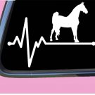 Morgan Horse Lifeline TP 255 vinyl 8" Decal Sticker shampoo harness saddle Morgan Horse Lifeline TP 255 vinyl 8" Decal Sticker shampoo harness saddle