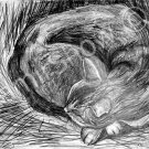 *Cat* (BW) Pencil style artwork