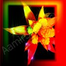 *Red-Yellow Flower* artwork mixed media