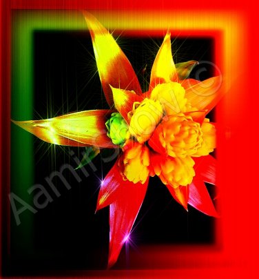 *Red-Yellow Flower* artwork mixed media
