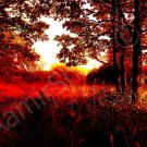 *Golden Autumn* fine very colorful NATURAL LINEN CANVAS artwork