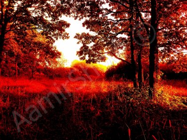 *Golden Autumn* fine very colorful NATURAL LINEN CANVAS artwork
