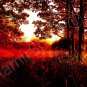 *Golden Autumn* fine very colorful NATURAL LINEN CANVAS artwork