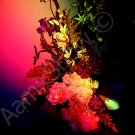 *#2 Rainbow Bunch of Flowers* fine very colorful NATURAL LINEN CANVAS artwork