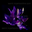 *Big Blue Lily* natural canvas classical artwork realism
