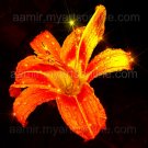 *Big Gold Lily* natural linen canvas classical art reaslim