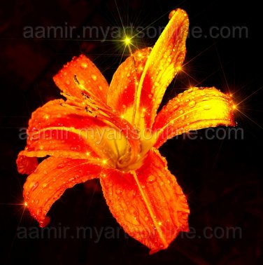 *Big Gold Lily* natural linen canvas classical art reaslim