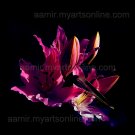 *Big Pink Lily* natural linen canvas art classical style