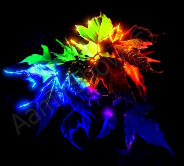 *Night Maple* natural linen canvas classical art style