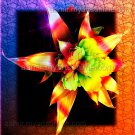 *Orange Fantastic Flower* linen canvas artwork mixed media