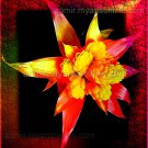 *Royal Red Flower* Natural linen CANVAS artwork mixed media