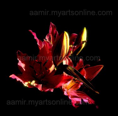 *Red Night Lily* natural linen canvas classical style