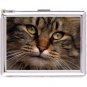 H5S670 Cigarette Case with lighter Cat Animal Picture Free shipping