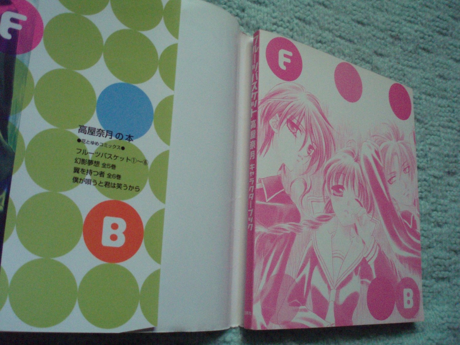 Fruits Basket Character Art Book