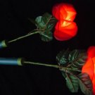 Flash Rose