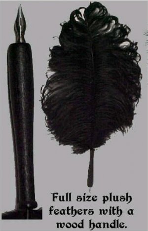 Ostrich Feather Pens sa