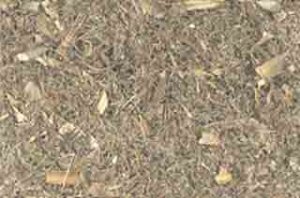 Blessed Thistle 1lb