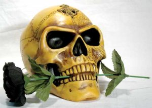 Skull: Alchemist