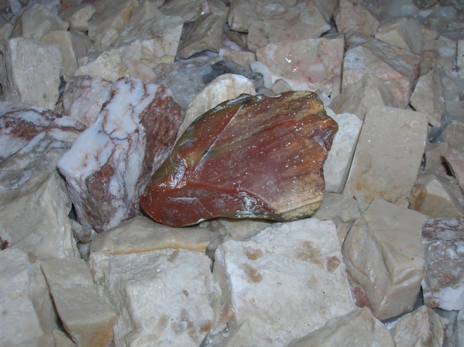 Precious Monument Stone from the Tyrrhenian Sea in Italy - Amber