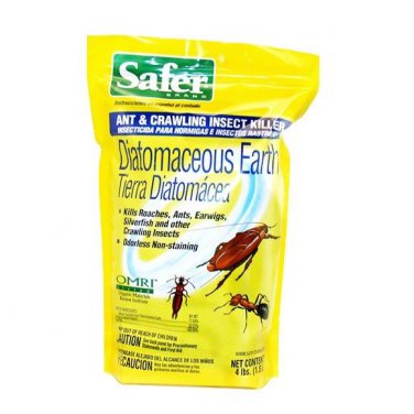 pet friendly termite spray