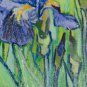 IRISES - by Van Gogh 30"X38"