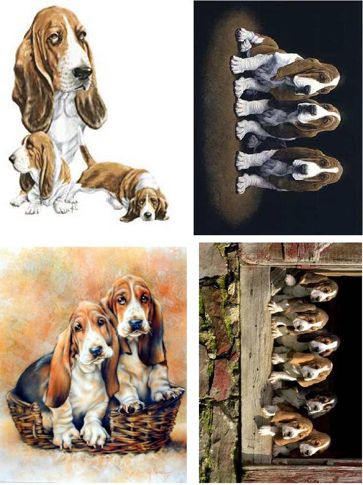 Lot Of 4 Bassett Hound Dog Fabric Panel Quilt Squares