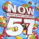 Various Artists - Now That's What I Call Music! 57 - UK CD album 2004