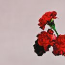 John Legend - Love In The Future - UK CD album 2013