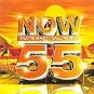 Various Artists - Now That's What I Call Music! 55 - UK CD album 2003