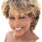 Tina Turner - Wildest Dreams - UK CD album 1996